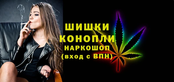 индика Лагань