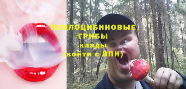 гидра Лабытнанги