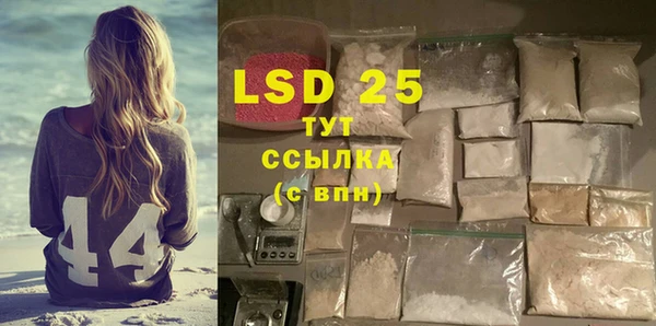 индика Лагань